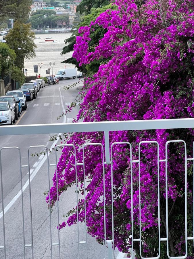 TORRE D'AVORIO APPARTAMENTO 126 mq piu'terrazzo 25 mq - TOTALLY NEW 250 M FROM DOWNTOWN - SKY e NETFLIX - toll parking at 15 euro per day to be booked in advance -subject to availability Rapallo Esterno foto